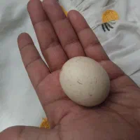 انگشترفیروزه. سنگ اسیاب. اویزنقره