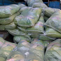 برنج پاکستانی ۳۸۶ عمده ،چای و روغن