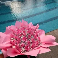 سورپرایز لند لنجان
