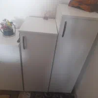 جاکفشی پله ای.