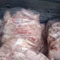 اسکلت و گردن بدون پوست