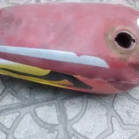 باک موتور  اکزوز موتور
