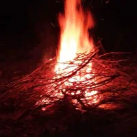 رنگ و لایت مو