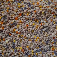 گرده گل|خوردنی و آشامیدنی|ارومیه, |دیوار