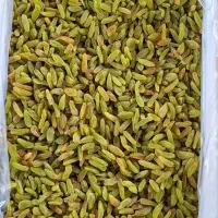 کشمش سبز قلمی درجه ۱ کاشمر