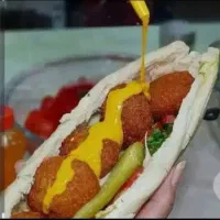 فلافل / فر کار / ساندویچ زن/ املت زن