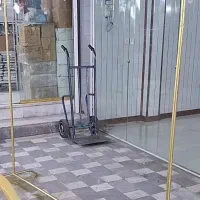 رگال ضخیم