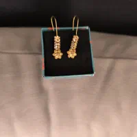 گوشواره طلا و تعدادی سکه پارسیان در وزن های مختلف