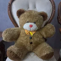 عروسک خرسی بزرگ