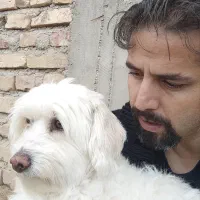 مربی سگ،مشاوره،تربیت سگ