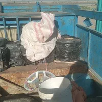 باسلام لوله نوار قطره ای