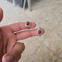 دوعدد دست دلبر