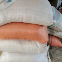 کپک سبوس درجه یک تمیز وسالم