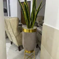 گل سانسوریا مصنوعی