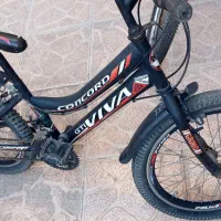 دوچرخه 20دنده ای