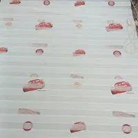 پرده ی زبرا مک کویئن