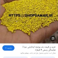 بذر یونجه