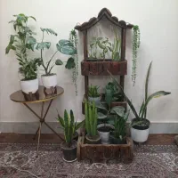 گل وگلدان