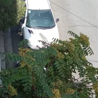 206 tu3 مدل ۹۹ سفید