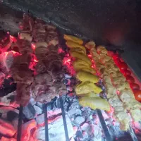 شاطر و نیروی ساده برای کبابی