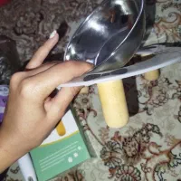 گربه|لوازم جانبی حیوانات|آستارا, |دیوار