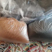 خاکشیر وتخم شربتی