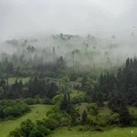 جویای کار