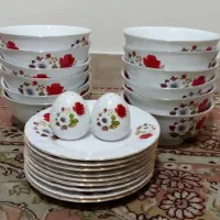 ظروف گل سرخی