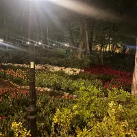 منشی