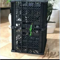 قالب سبد ۱۴ کیلویی