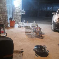 سهره قناری