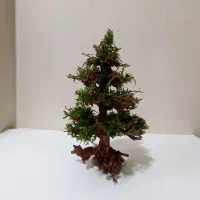 درخت پلنت|ماهی|نسیمشهر, |دیوار