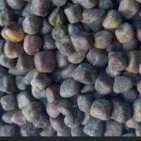 ماشک (گرگرو)بوجار شده