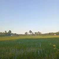 فروش-زمین-در-روستای-سر-سبز-و-توریستی-سقالکسار