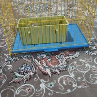 قفس طوطی سالم