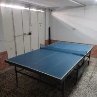 میز پینگ پنگ