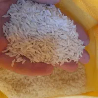 برنج هاشمی طاروم