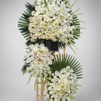 بورس اواع تاج گلهای ختمی و جشنی