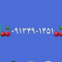 ۰۹۱۳۴۹۰۱۴۵۱