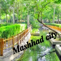 گروه دورهمی