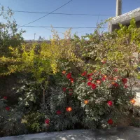 فروش زمین مسکونی