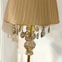 اباژور کنار سالنی