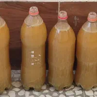 ابغوره امساله