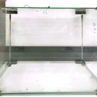 آکواریوم شرکتی
