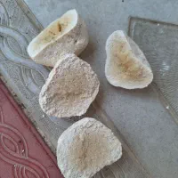 کشک آزربایجان شرقی