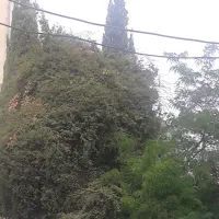 ۱۵۰مترخانه شمالی با۳طبقه بنا