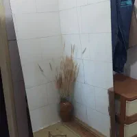دو عدد آیینه قدی