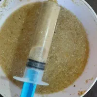 جوجه سهره خاکی