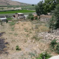 زمین تجاری مسکونی بر اصلی گلزار شهدا