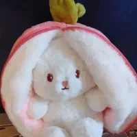 عروسک نو